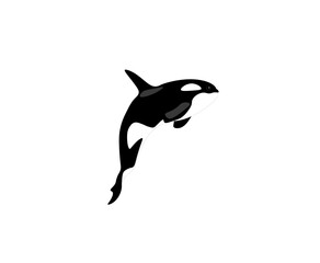 Cartoon black and white killer whale. Vector illustration