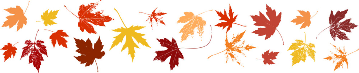 Fall or autumn maple leaves in red orange and yellow design element. Fall vector illustration of colorful png or jpg with texture grunge. Autumn clip art. Underline or border design that can repeat.