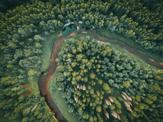 view of the forest river in summer