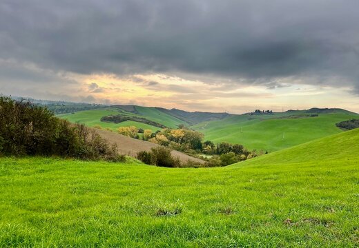 Tuscany green fields in autumn on the way to Gambassi Terme, Italy