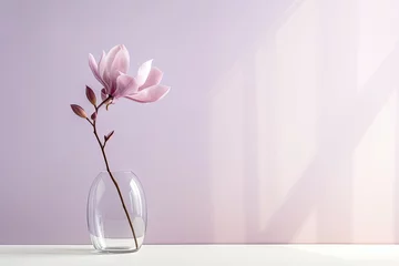 Poster Beautiful pink magnolia flower in transparent glass vase standing on white table, sunlight on pastel pink wall © vejaa