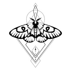 Vector moth, mystic symbol and signs with geometric ornament. Witchcraft, occult, alchemical signs. Butterfly moth vintage engraved style