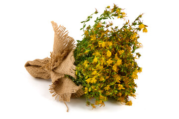 St. John's wort (Hypericum perforatum), isolated on white background.