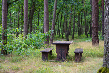Wooden brown picnic table with attached benches. Rest and snack in the park.