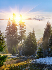 A picturesque scene of a mountain slope, adorned with tall spruce trees, dusted in the first snow of the season. As mist rises, the sun breaks through the trees