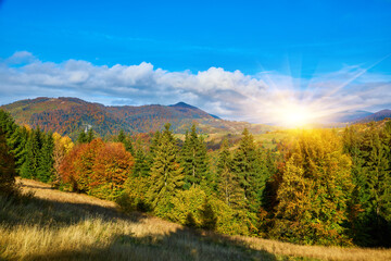 Autumn Tapestry: Majestic Carpathian Peaks Embraced by Vibrant Foliage