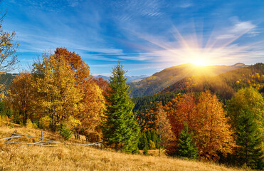 Golden Autumn Serenade: Majestic Carpathian Peaks Embraced by Nature's Palette