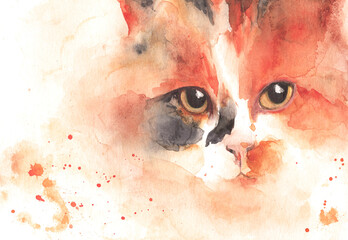 Cute calico cat face, watercolor painting