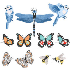 Garden Bugs and Birds Set