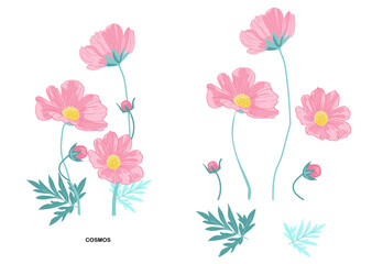 Pink Cosmos Flower Set