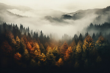 Aerial view of forest landscape in autumn, banner, wallpaper, copy space