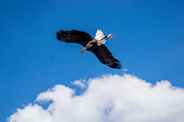 Varios lugares de Ecuador