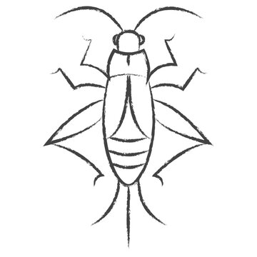 Hand drawn Cricket bug illustration icon