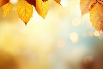 Abstract autumn background with yellow bokeh color and autumn leaves. - obrazy, fototapety, plakaty
