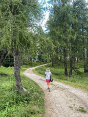camminata montagna bosco 