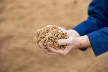 Hands of male farmworker holding handful of brewers grains on background of large pile. Organic waste used as livestock feedstuff