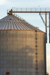 Silos in the field to store cereals