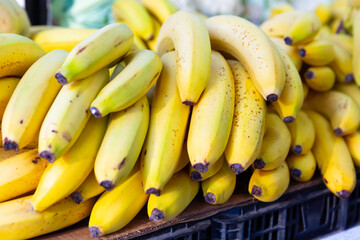 Ripe yellow bananas on counter in greengrocer section at supermarket