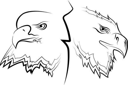dibujo aguila para colorear trival