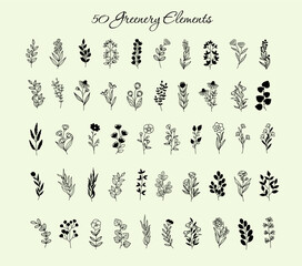 50 Greenery Elements, Minimal Botanical Doodle Set, Vector Leaves & Flowers, Hand-drawn