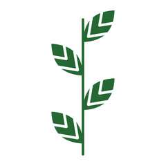 Isolated branch with green leaves icon Vector illustration