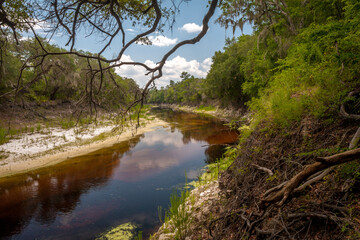 Photo of the Suwanee River on a beautiful summer day