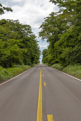 Fototapeta na wymiar rodovia BR 497, divisa entre os Estados de Minas Gerais e Mato Grosso do Sul, Brasil