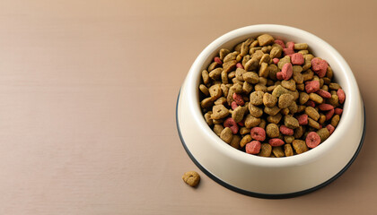 Obraz na płótnie Canvas Dry dog food in feeding bowl on beige table. Space for text