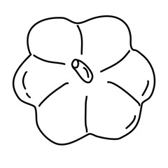 Pumpkin for Halloween or Thanksgiving, top view, doodle style flat vector outline for coloring book