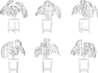 Vector illustration sketch of ornamental plants in pots for afforestation