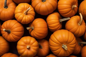 Abundance of fresh and healthy pumpkins fruit background texture