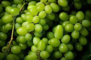 Abundance of fresh and healthy green grapes vine fruit background texture