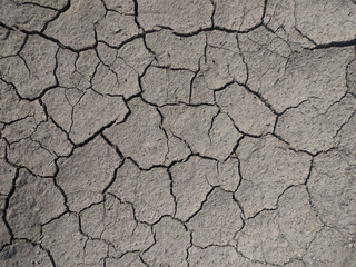 Dry cracked earth. Gray background with cracks.