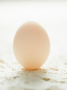 Egg on a stone background