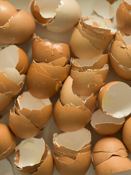 Broken egg shells
