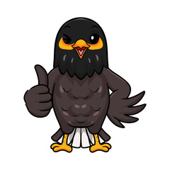 Cute myna bird cartoon giving thumb up