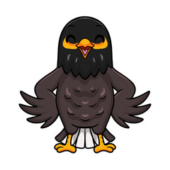 Cute myna bird cartoon posing