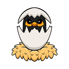 Cute myna bird cartoon inside from egg