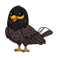 Cute myna bird cartoon posing