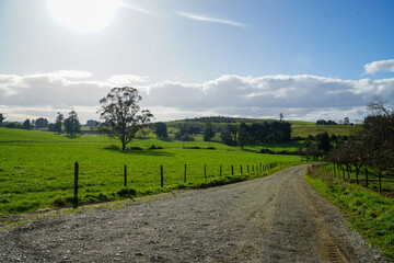 Rural path through a sunny green field.