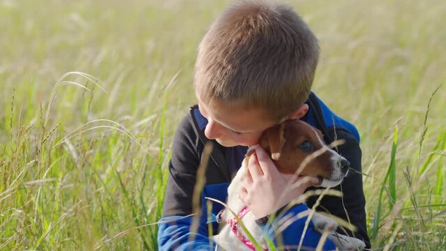 Child playing with dog, Dog is childs friend, Walking with pet. Dog sits on hands of child boy in park. Puppy and kid owner play together outdoors. Boy takes care of puppy, caress dog with his hand.