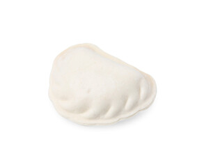 Fototapeta na wymiar One raw dumpling (varenyk) isolated on white