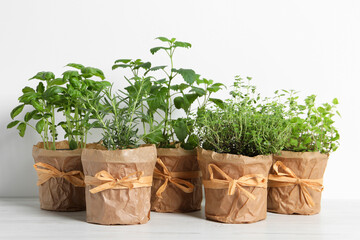 Different aromatic potted herbs on white wooden table