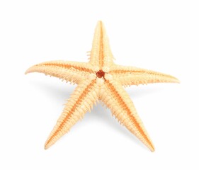 Beautiful sea star (starfish) isolated on white