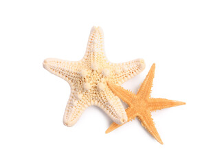 Fototapeta na wymiar Beautiful sea stars (starfishes) isolated on white, top view