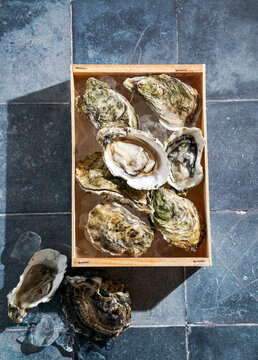 fresh raw oysters on ice in a wooden box, top view