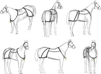 Vector sketch of a dashing white horse animal illustration for prince