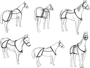 Vector sketch of a dashing white horse animal illustration for prince