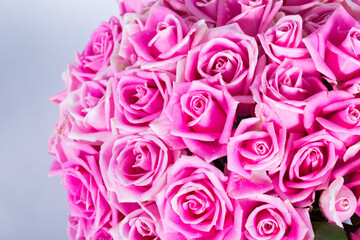 Cose up picture of flowers 