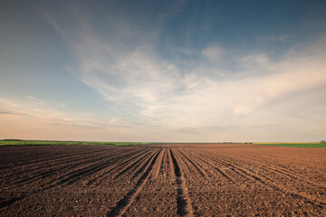 Selective blur on furrows on a Agricultural landscape near a farm, a plowed field in the countryside of Titelski, Serbia, Voivodina. The plough is a technique used in agriculture to fertilize a land. - obrazy, fototapety, plakaty